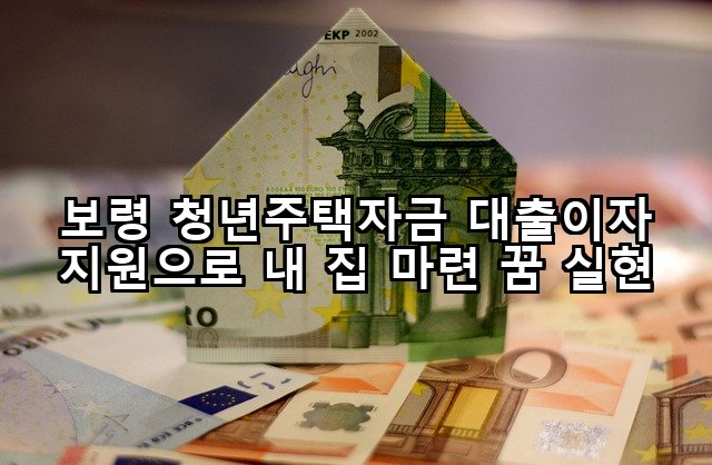 보령 청년주택자금 대출이자 지원으로 내 집 마련 꿈 실현
