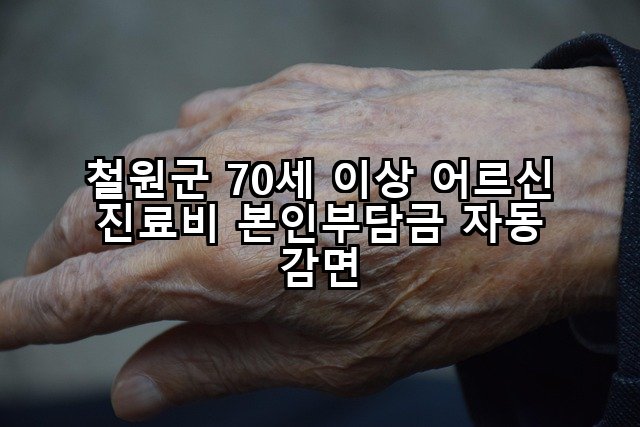 철원군 70세 이상 어르신 진료비 본인부담금 자동 감면